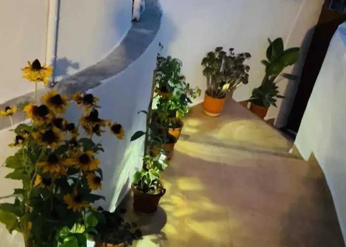 Valmira - Town Center * 培拉特