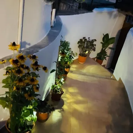 Valmira - Town Center * Berat