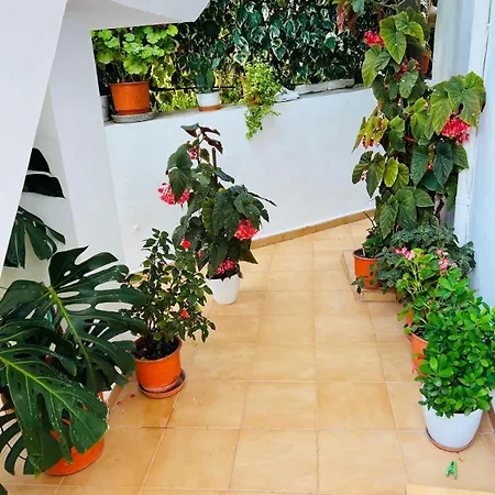 Apartment Valmira - Town Center *