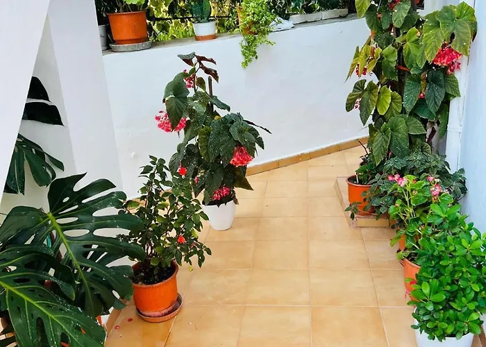 Apartment Valmira - Town Center *